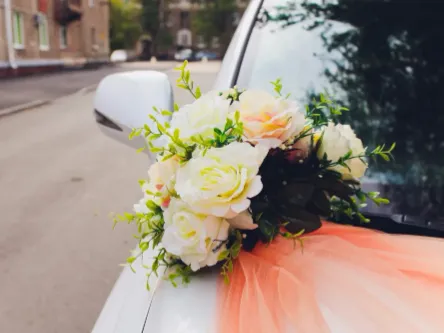 luxorides wedding cars